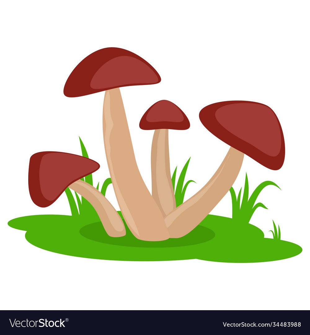 Mushrooms on grass cartoon icon isolated Vector Image