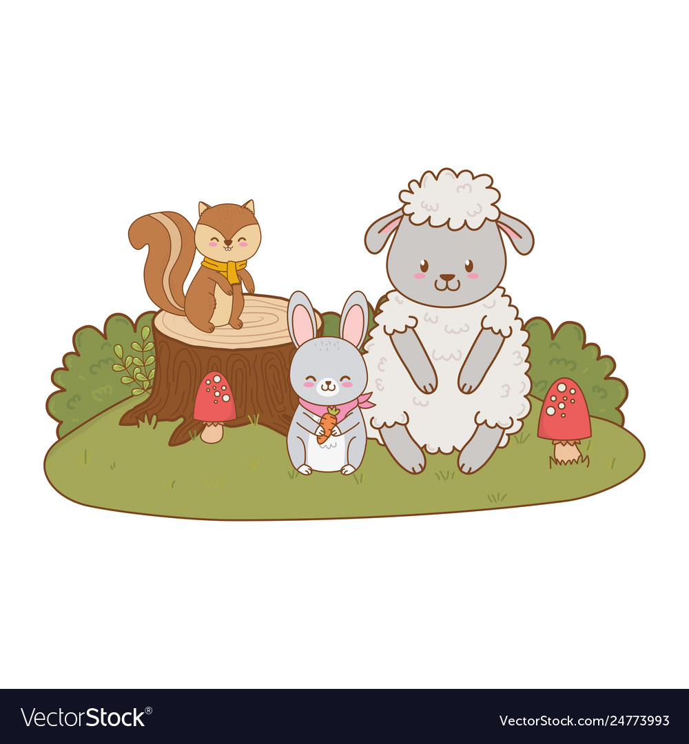 Cute animals in field woodland characters Vector Image