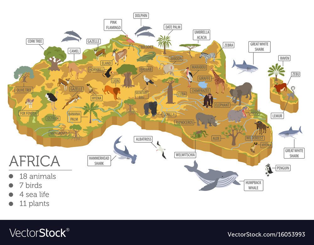 Flat 3d isometrische africa Flora und Fauna Karte