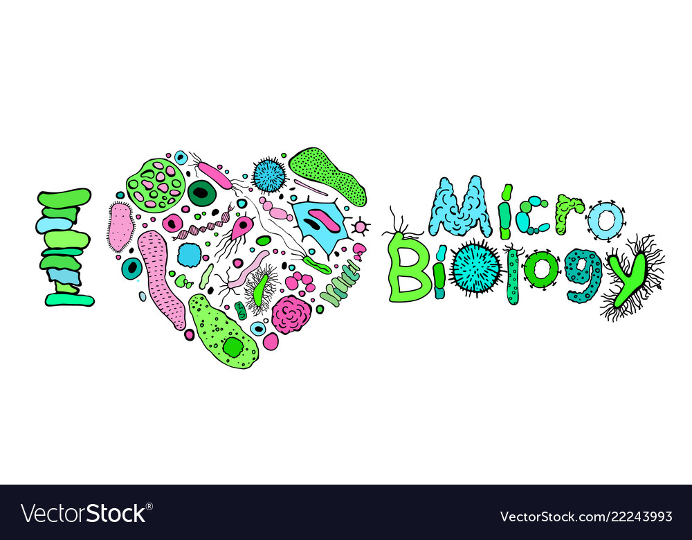 Microbiology poster image Royalty Free Vector Image