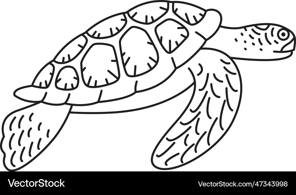 Sea turtle painting Royalty Free Vector Image - VectorStock