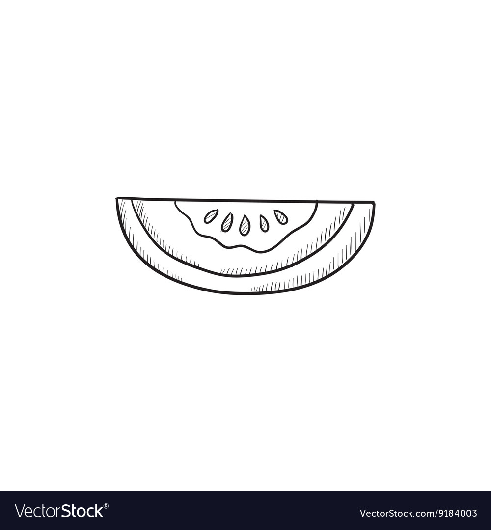 Melon sketch icon