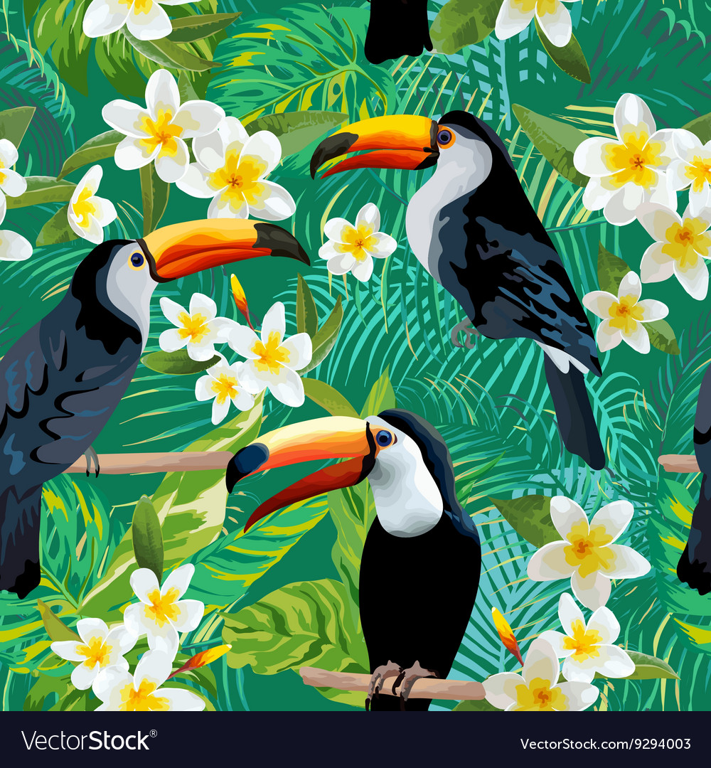 Tropical flowers and birds background toucan bird