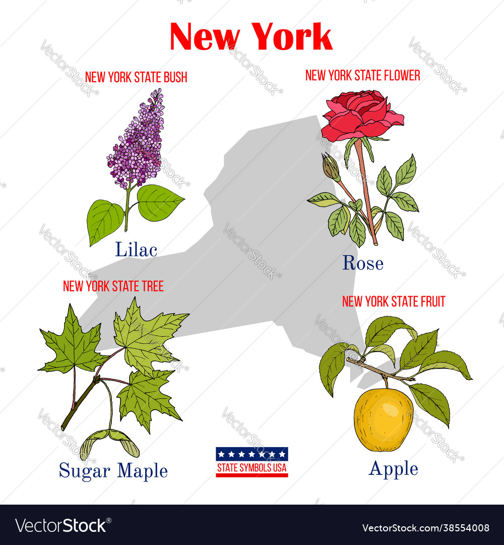 New-york set usa official state symbols Royalty Free Vector