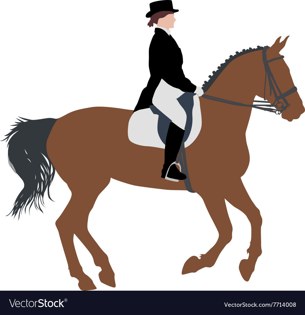 Silhouette of horse and jockey Royalty Free Vector Image