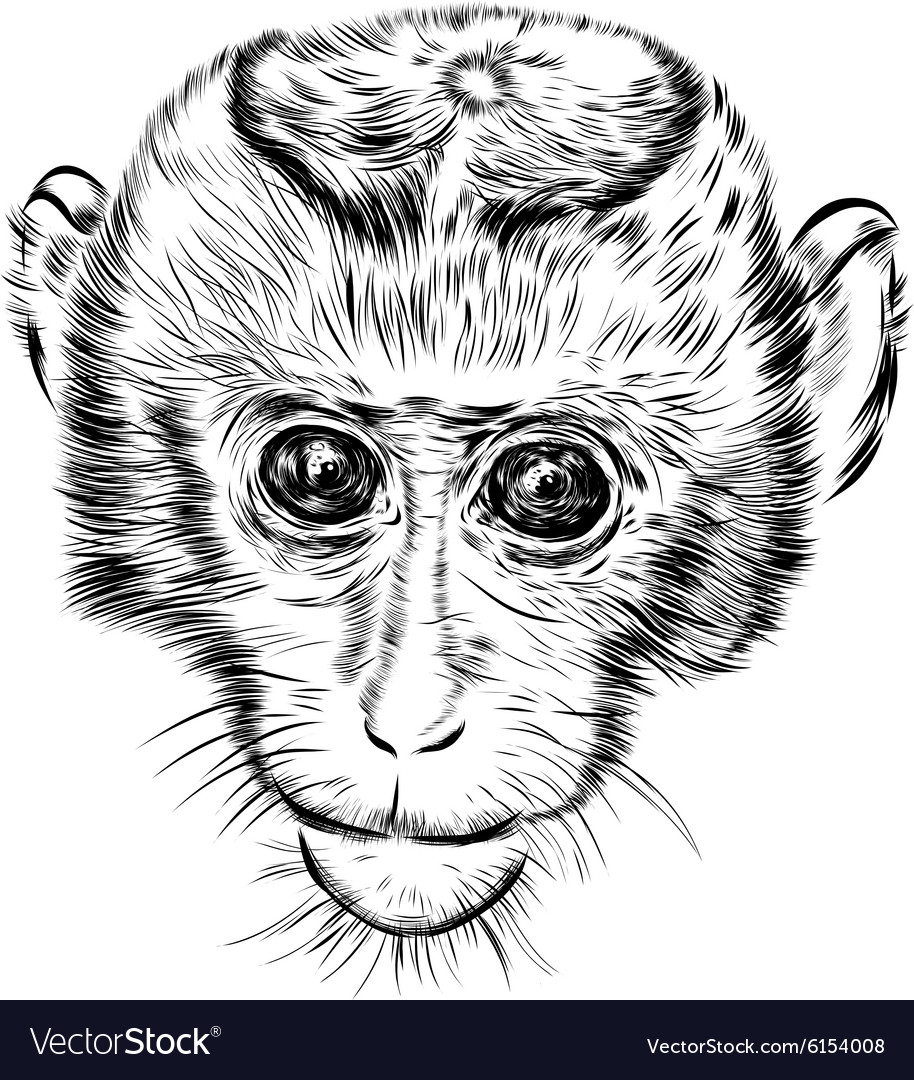 Sketch monkey face hand drawn doodle Royalty Free Vector