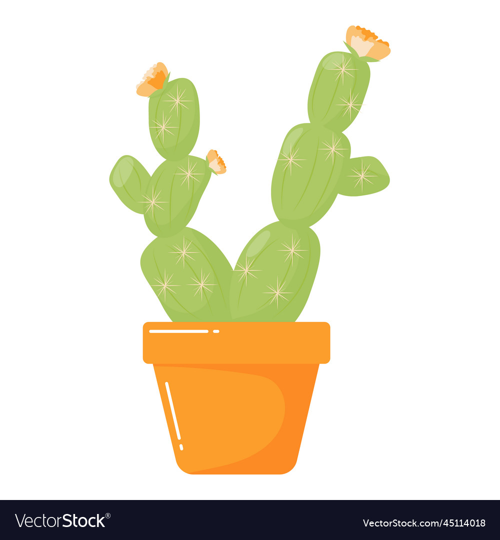 Cactus with orange flowers