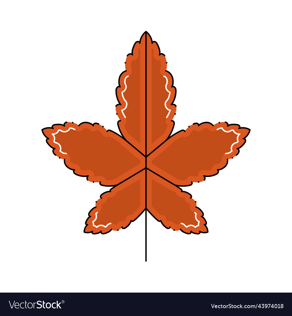 Isolated colored autumn leaf icon