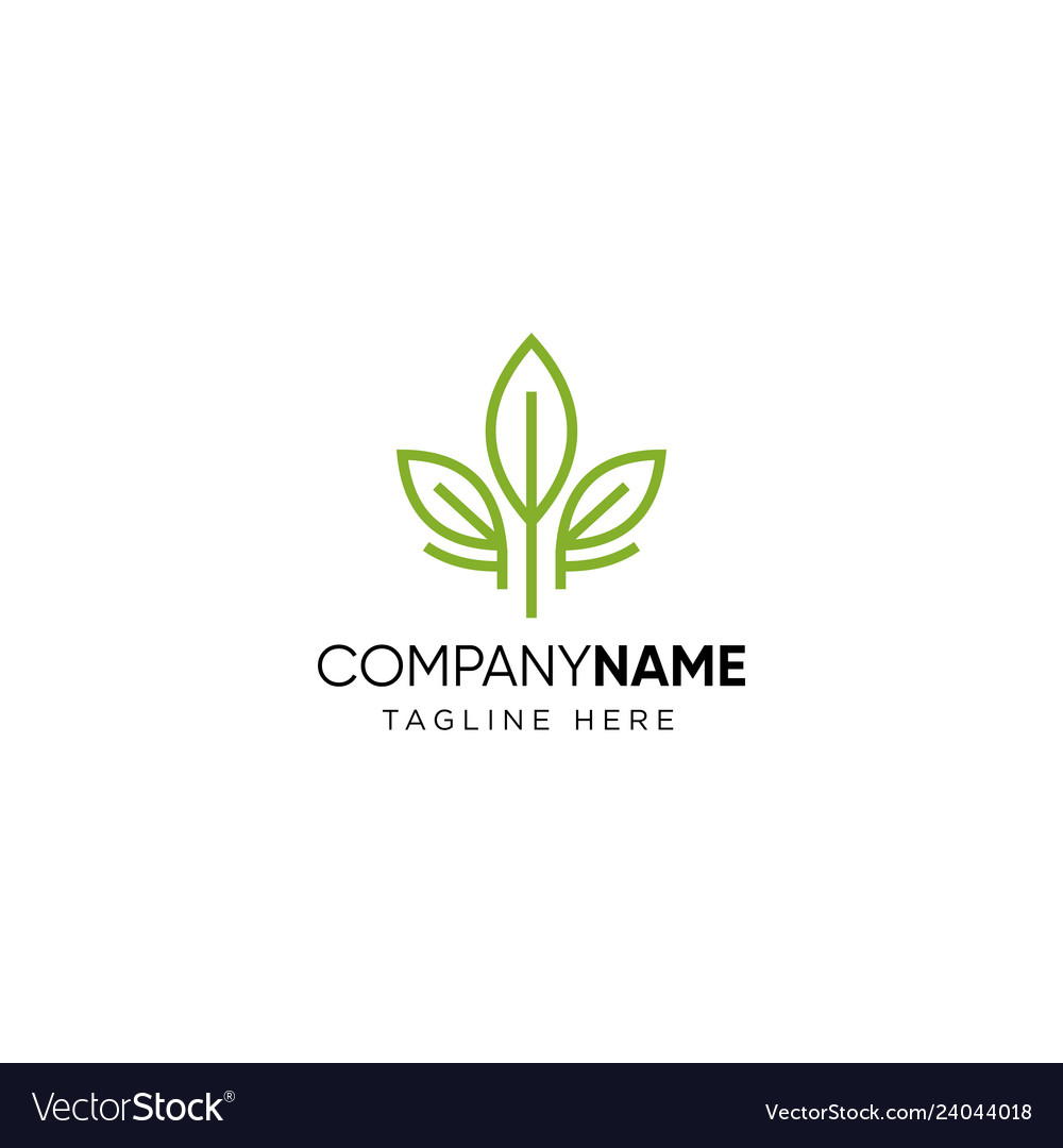 Leaf logo tea design Royalty Free Vector Image