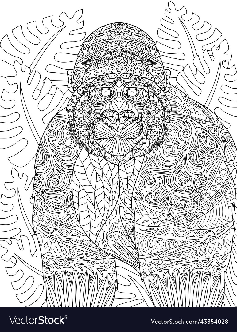 Coloring book page with detailed big monkey Vector Image