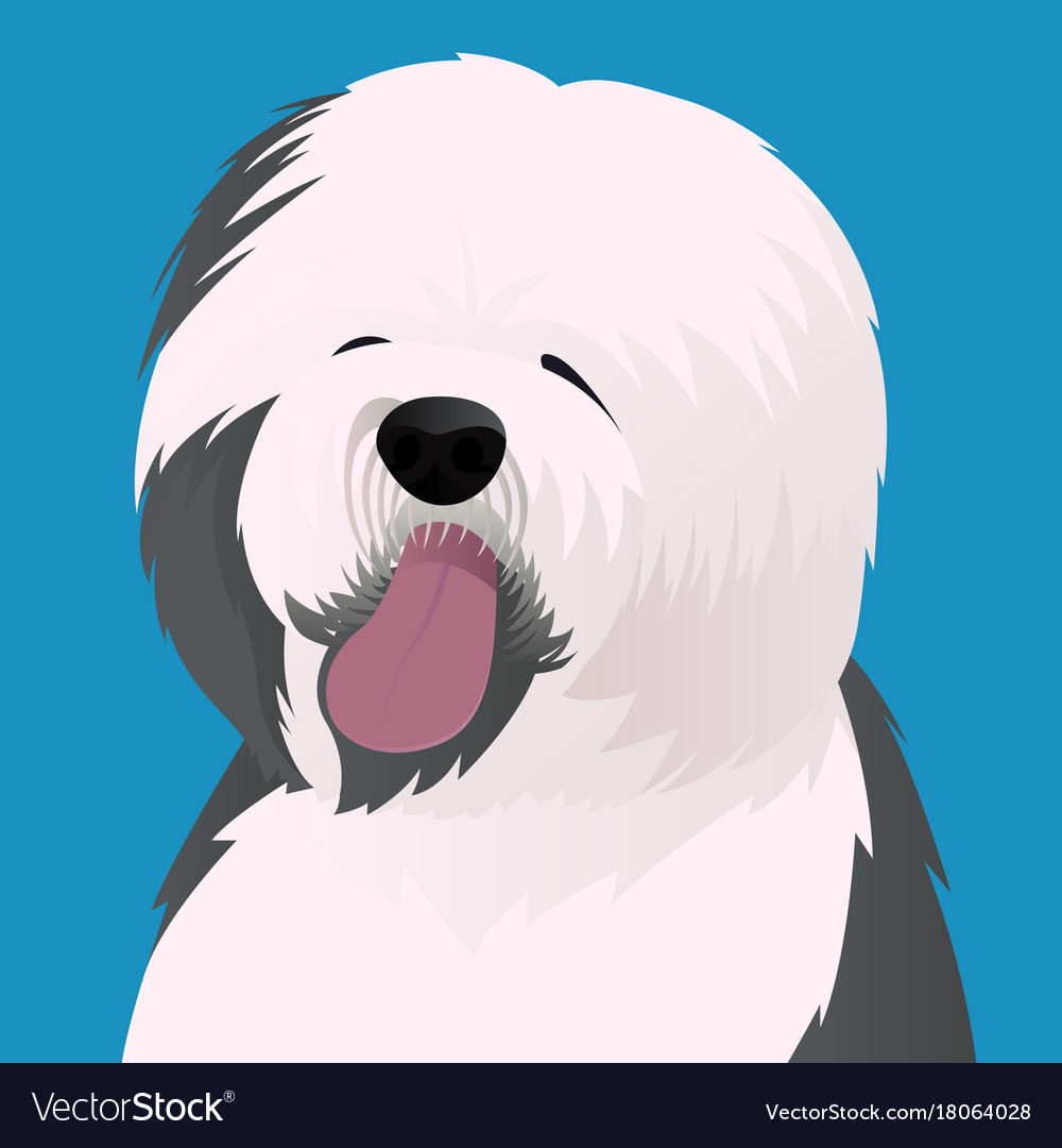 Foto De Stock Old English Sheepdog, Royalty-Free