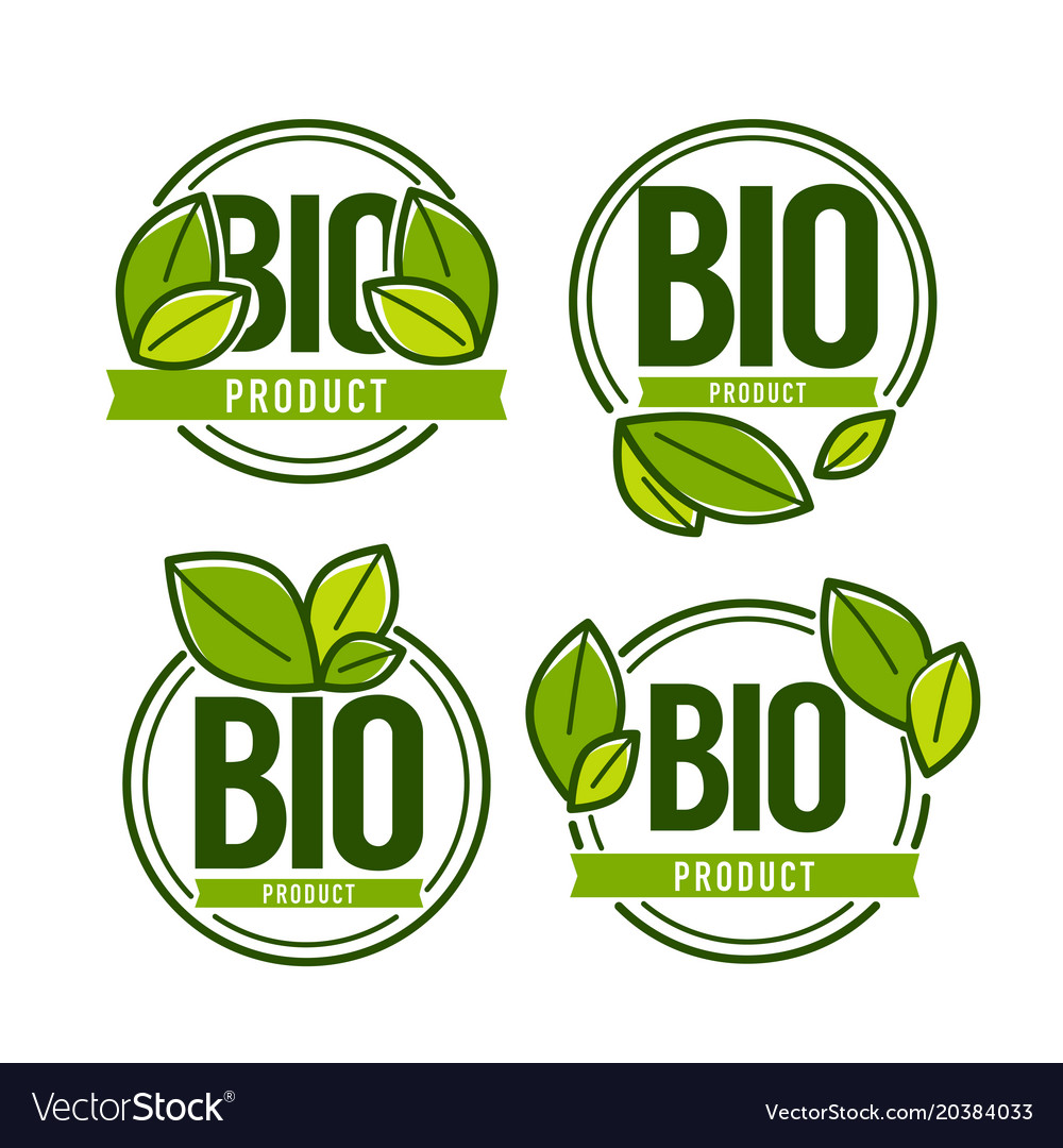 Bio Product Doodle Organic Leaves Emblems Vector Image