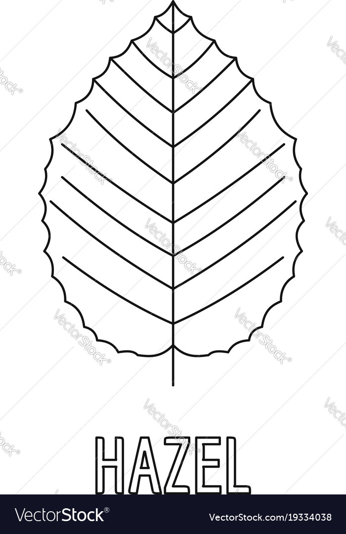 Hazel leaf icon outline style Royalty Free Vector Image