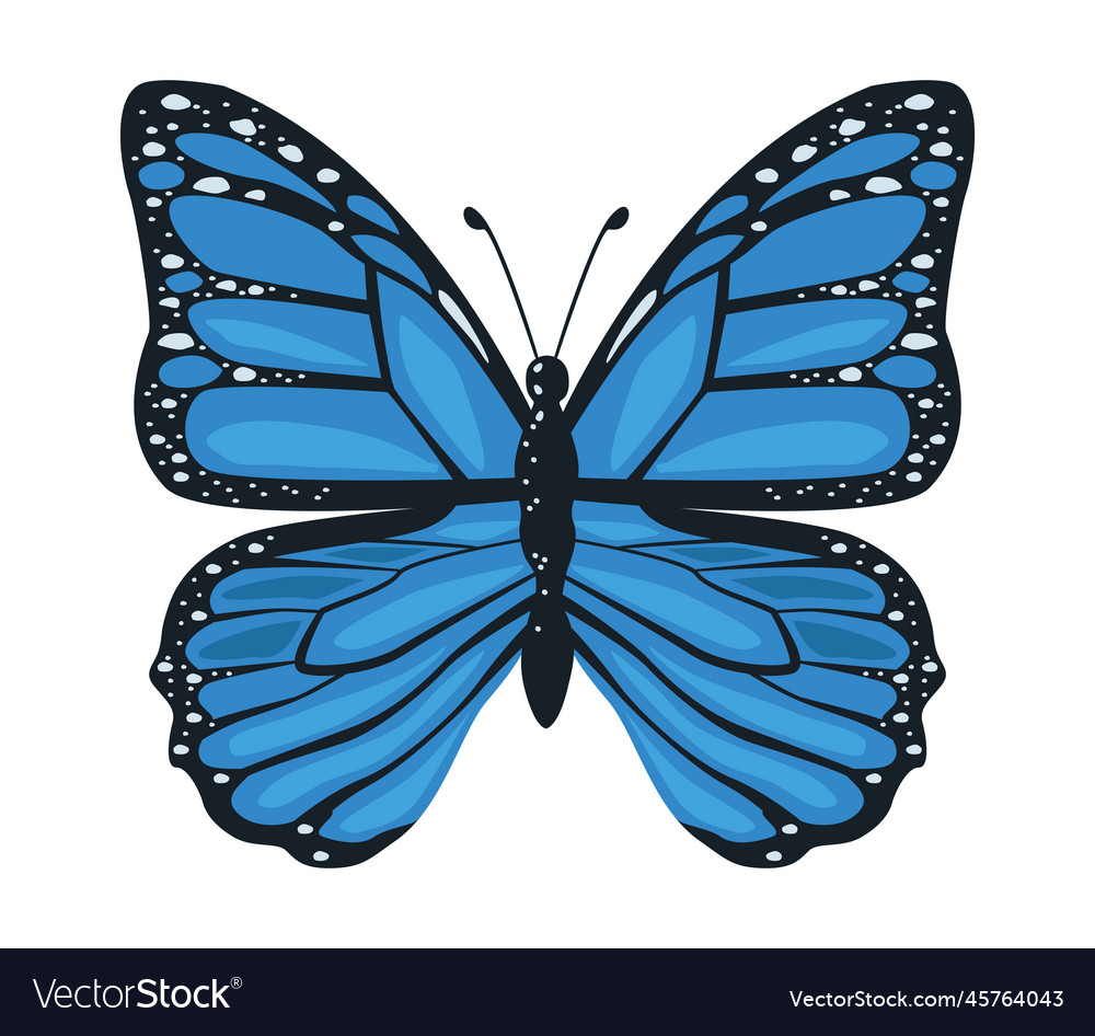 Blue beauty butterfly insect Royalty Free Vector Image