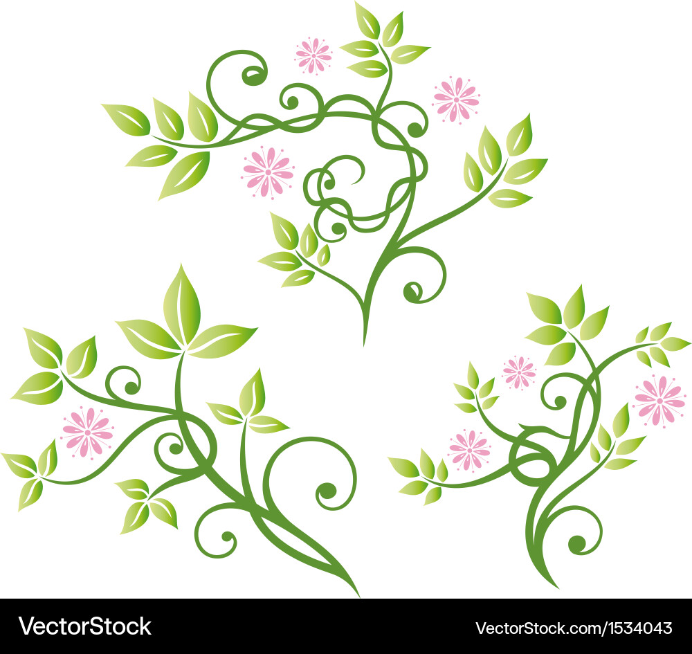 Floral elements ornament Royalty Free Vector Image