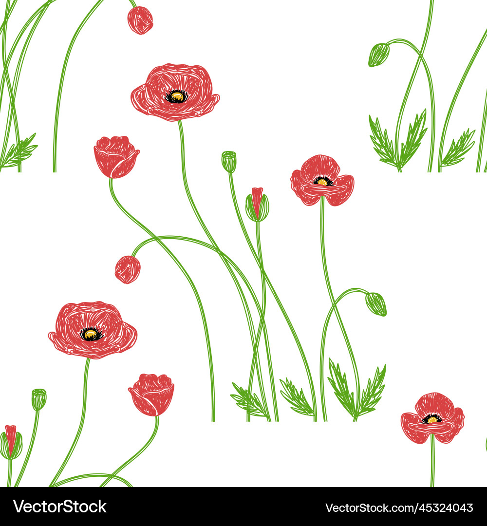 Poppy flowers hand drawn floral seamless pattern Vector Image