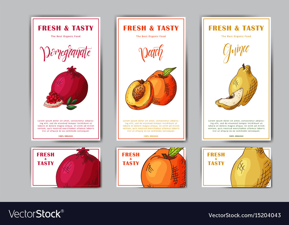 Set of organic fruits cards hand drawn sketch