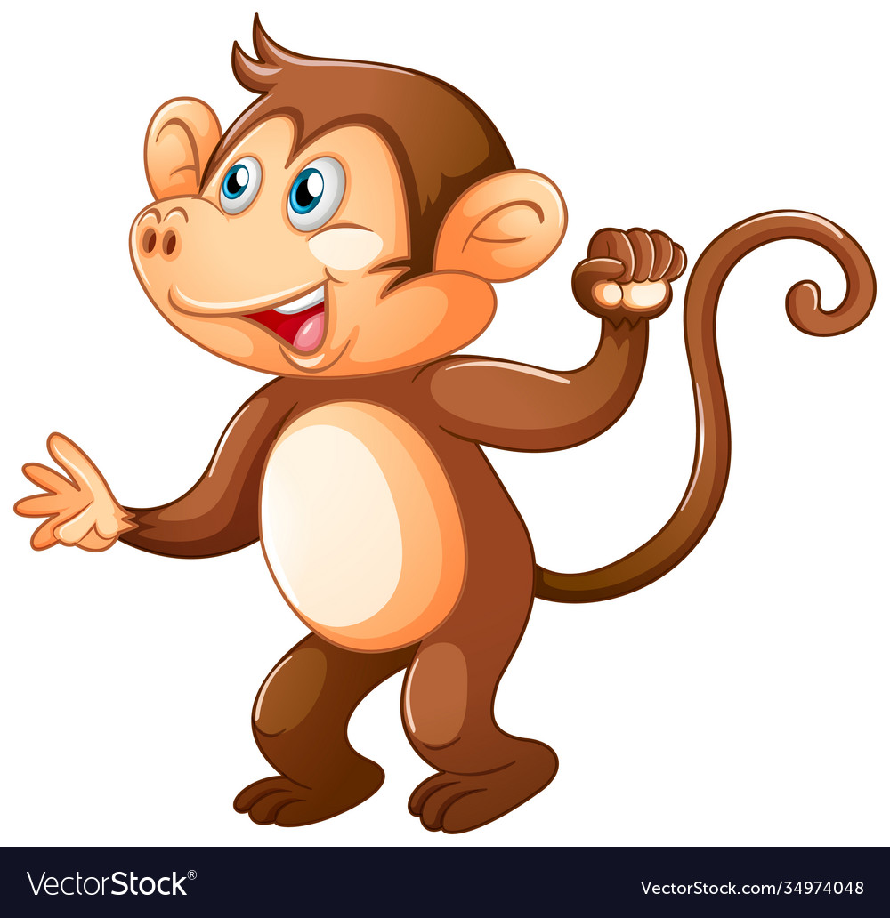 A cute monkey on white background Royalty Free Vector Image