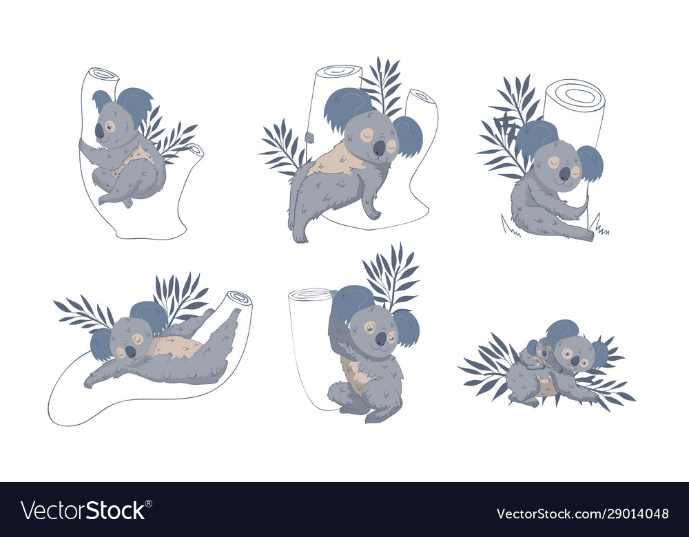 Cute stylized koala animal embracing tree trunk