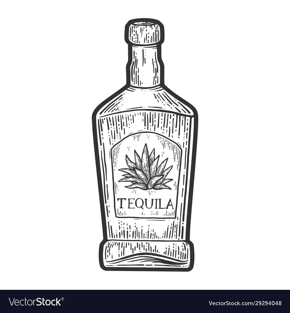 Tequila bottle sketch Royalty Free Vector Image