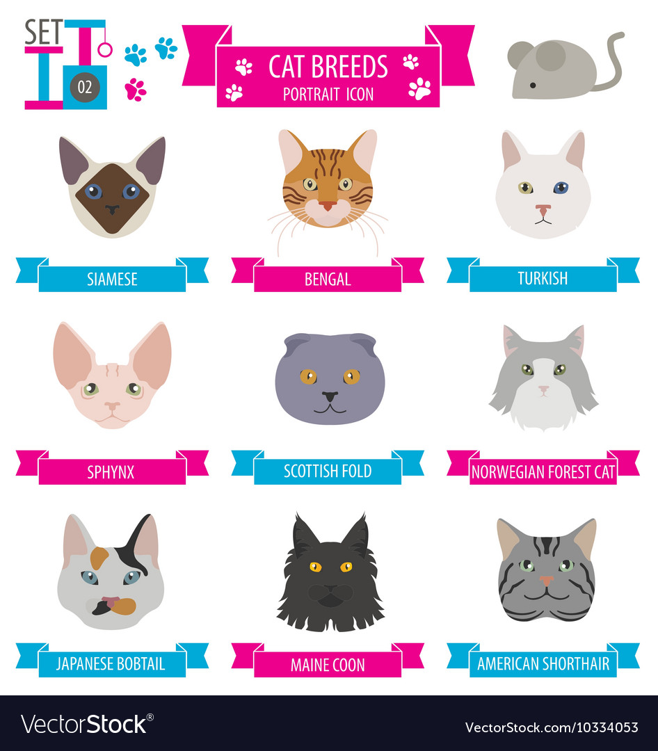 Cat breeds icon set flat style Royalty Free Vector Image