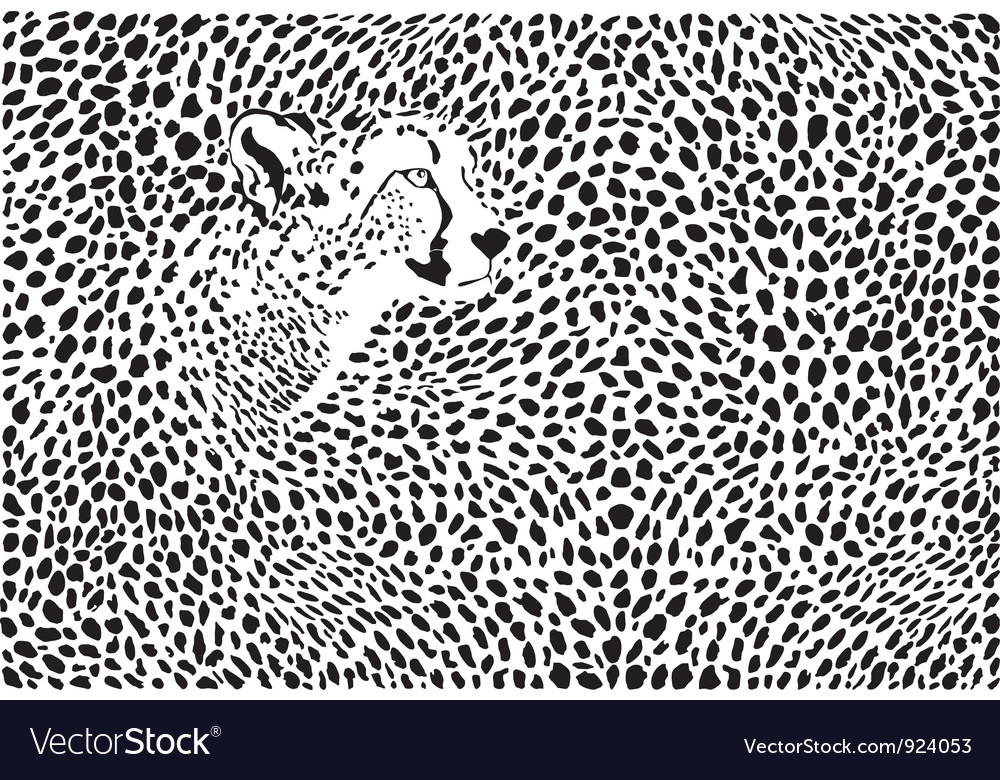 Pattern cheetahs background Royalty Free Vector Image