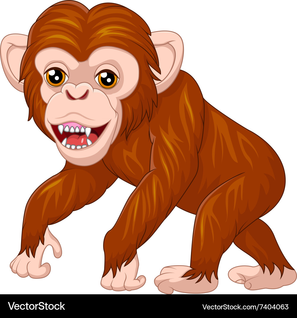 Cute monkey posing isolated on white background Vector Image