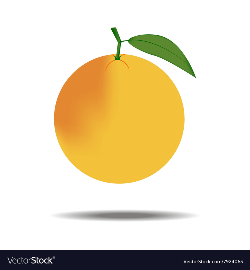 Grapefruit fruit icon