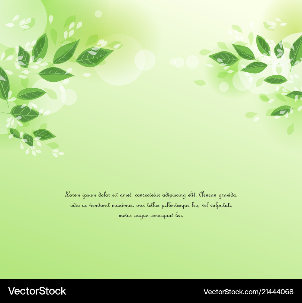 Green tree leaves Royalty Free Vector Image - VectorStock