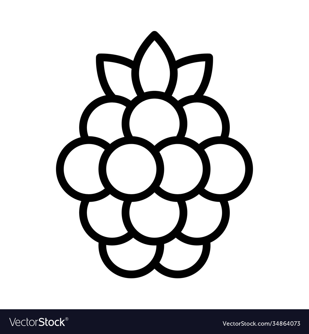 Raspberry icon thanksgiving related