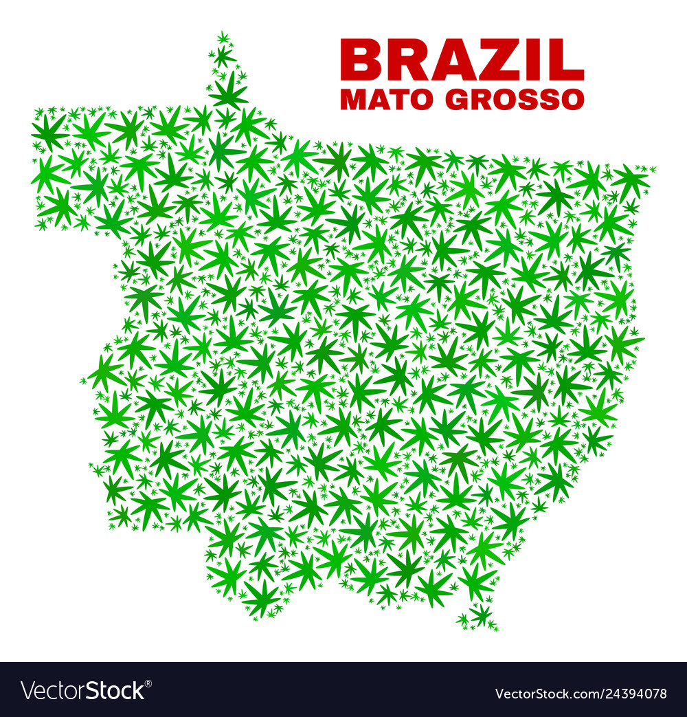 Hemp leaves mosaic mato grosso state map