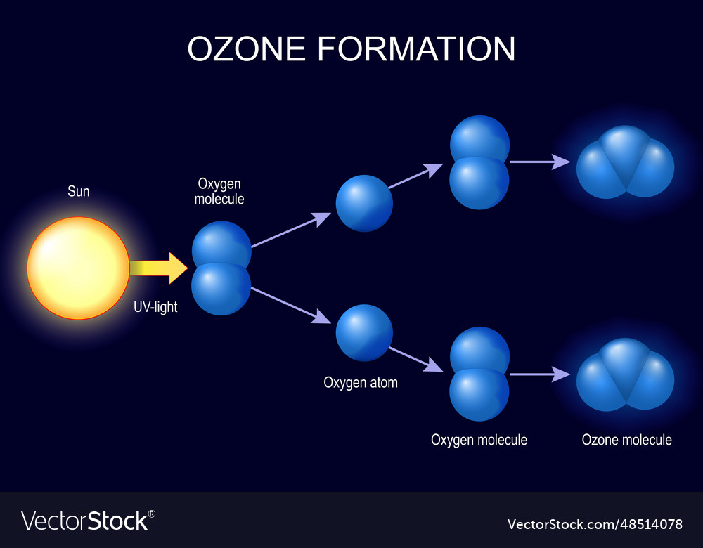 Ozone formation Royalty Free Vector Image - VectorStock