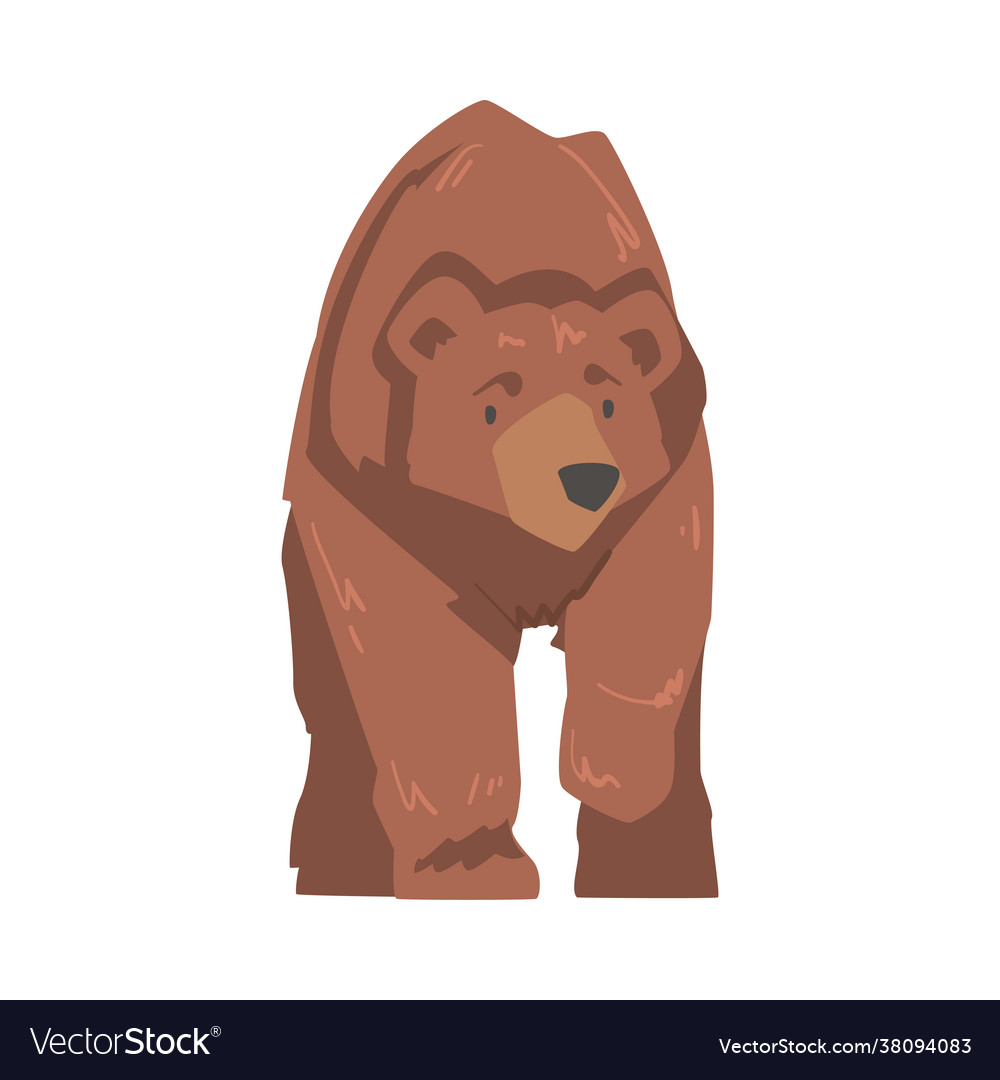 Large brown bear wild mammal animal cartoon