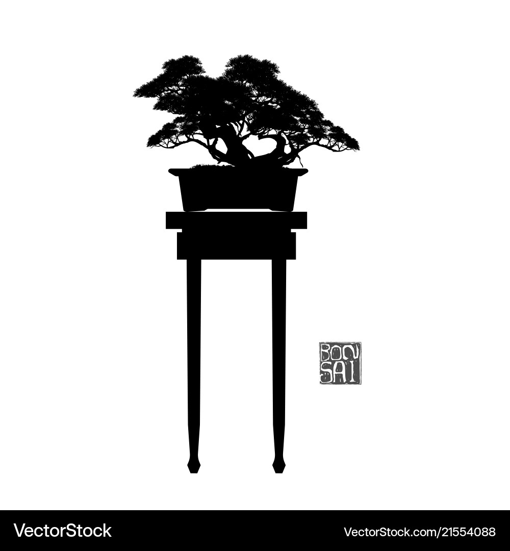 Bonsai tree japanese and chinese trees Royalty Free Vector