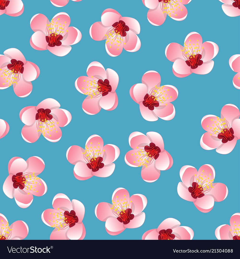 Momo peach flower blossom on blue background Vector Image