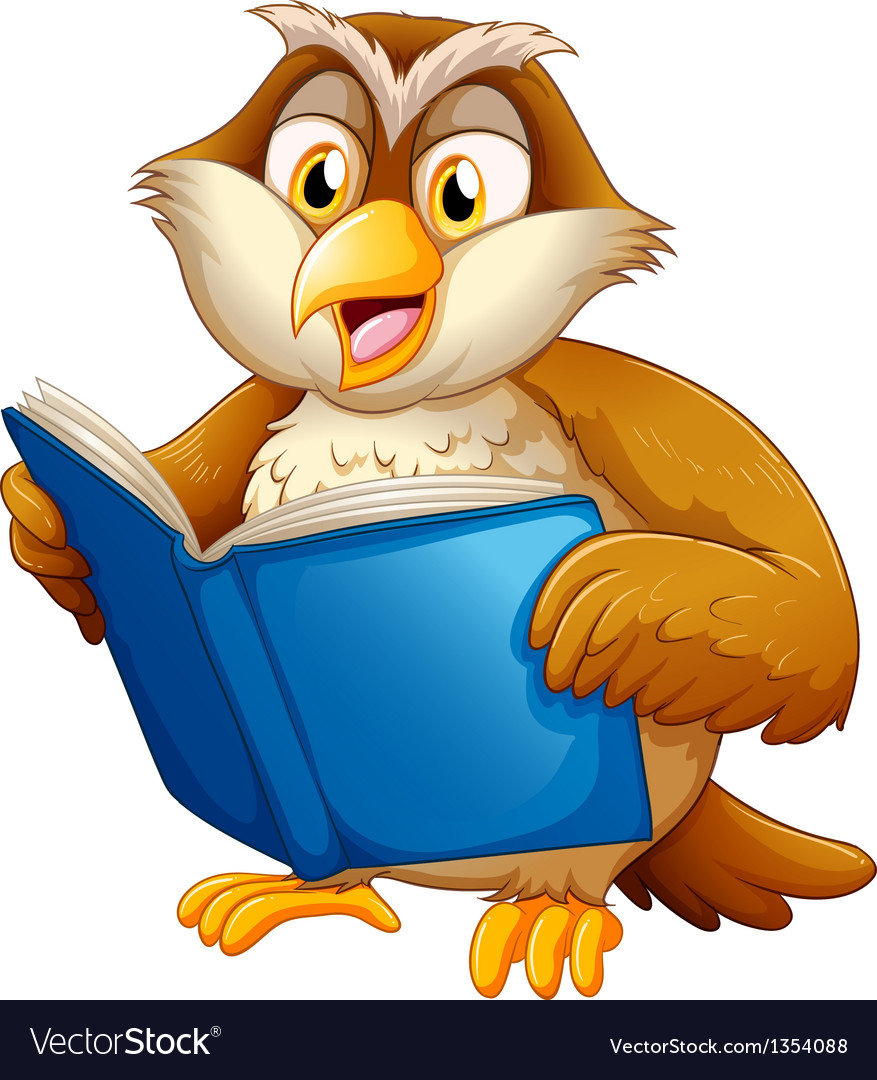 Owl reading Royalty Free Vector Image - VectorStock