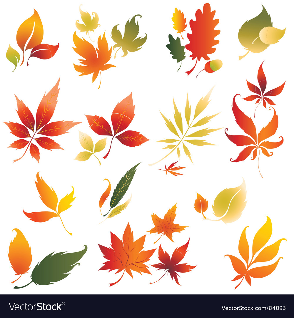 Autumn design Royalty Free Vector Image - VectorStock