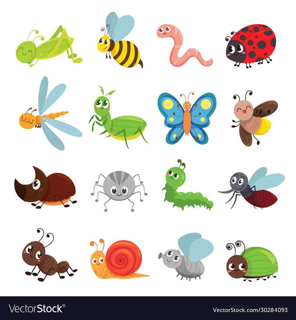 Funny insect set bug beetle butterfly symbol Vector Image