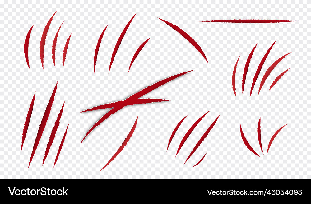 Scratches of beast set Royalty Free Vector Image