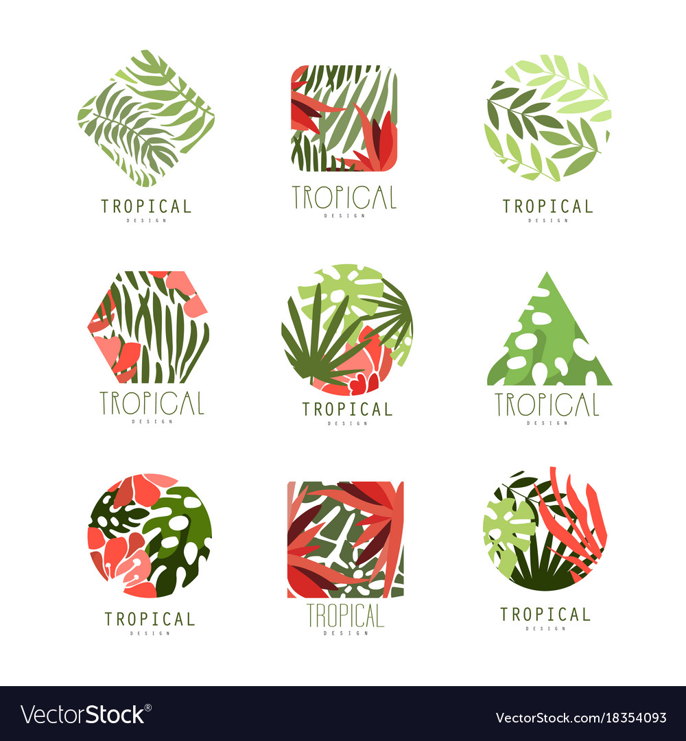 Set of geometric tropical logo with leaves