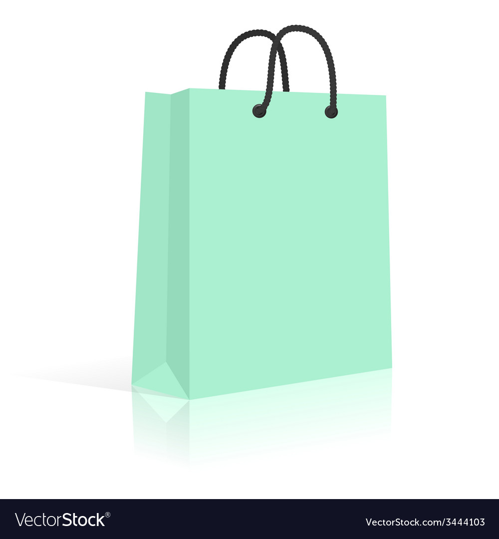 Blank Paper Ping Bag With Rope Handles Mint Vector Image