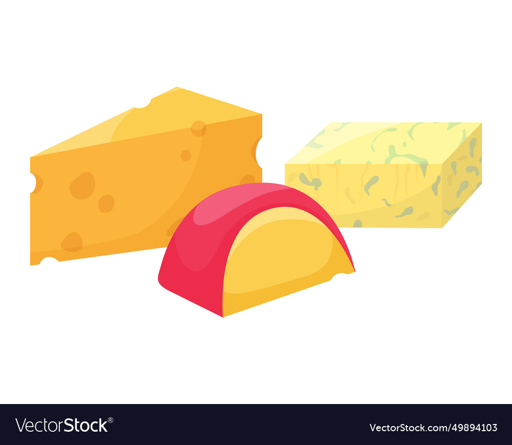 Different types of cheese blocks Royalty Free Vector Image