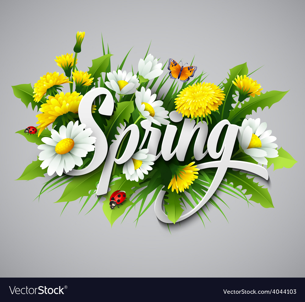 Fresh spring background with dandelions Royalty Free Vector