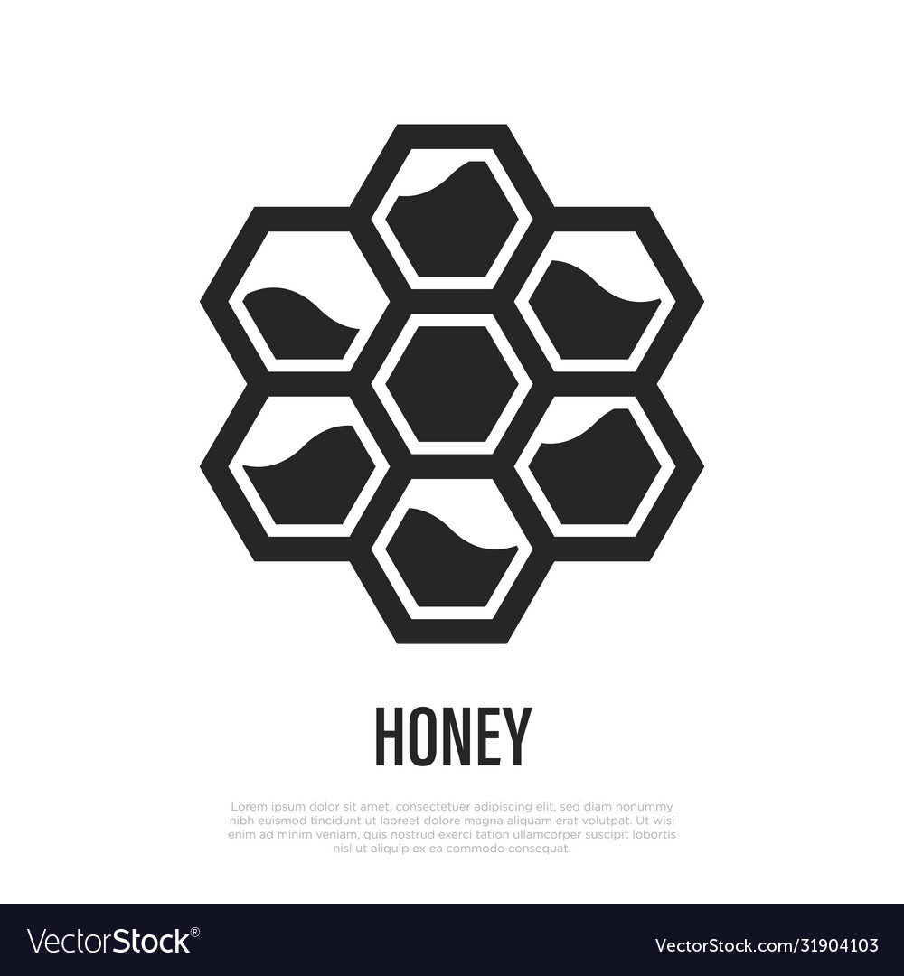 Honey in honeycombs thin line icon