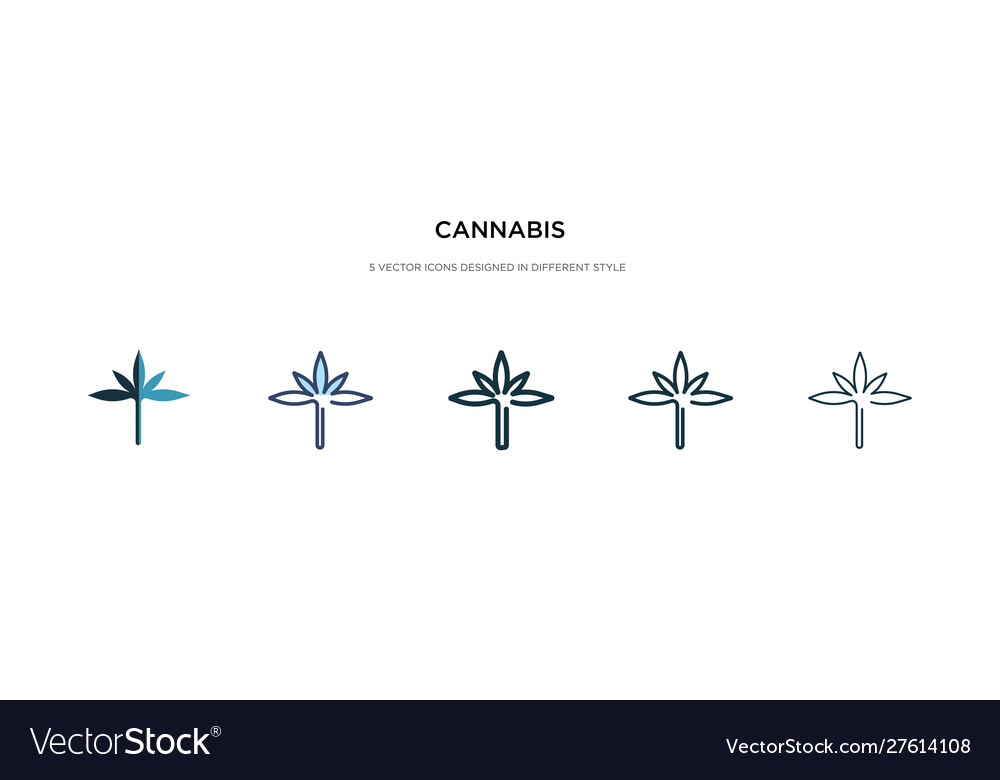 Cannabis icon in different style two colored