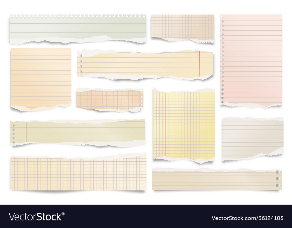 Colorful ripped paper strips isolated on white vector image Colorful ripped paper strips isolated on white