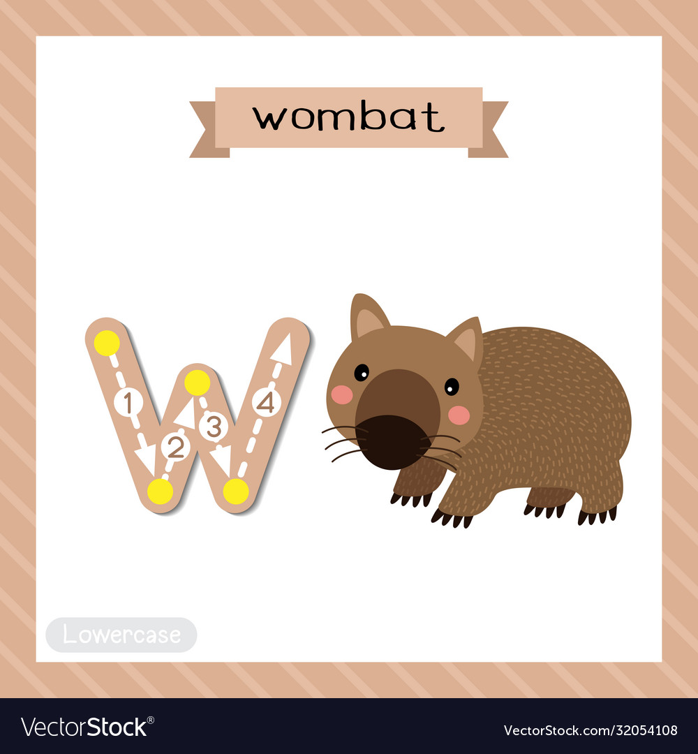 Letter w lowercase tracing happy wombat Royalty Free Vector