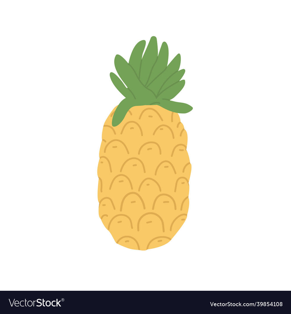 Pineapple fruit with leaf on top tropical yellow Vector Image