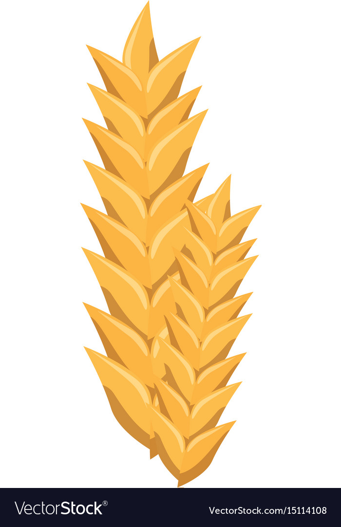 Wheat ears icon