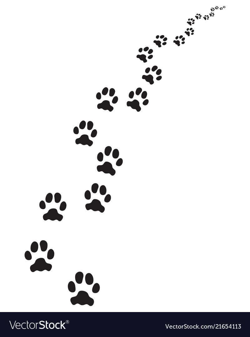footprints-of-dog-royalty-free-vector-image-vectorstock